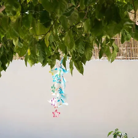 度假居 Anna's House Kefalonia